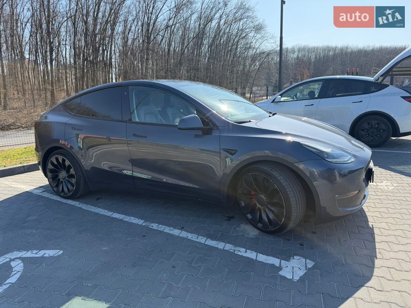 Внедорожник / Кроссовер Tesla Model Y 2022 в Ужгороде