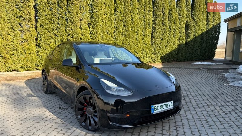Позашляховик / Кросовер Tesla Model Y 2024 в Тернополі