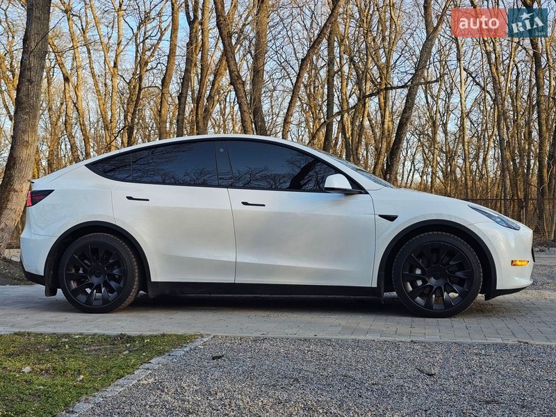 Внедорожник / Кроссовер Tesla Model Y 2023 в Днепре