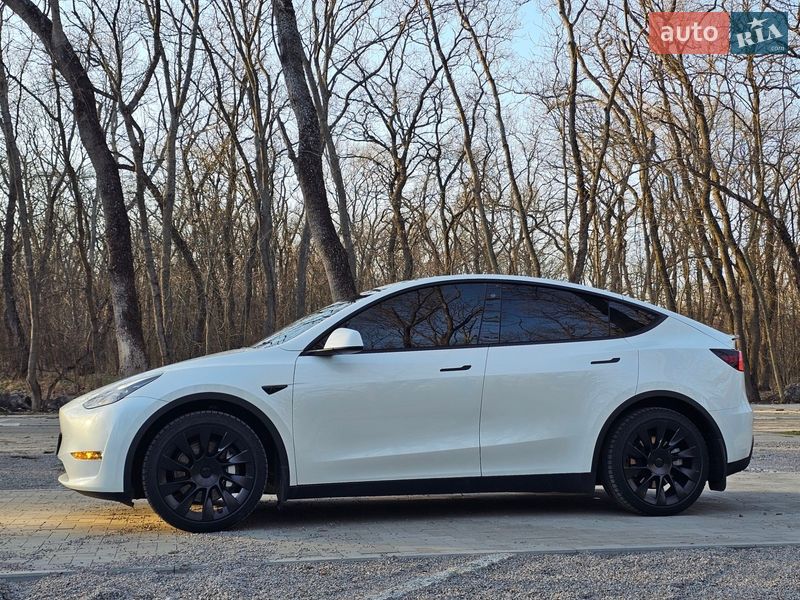 Внедорожник / Кроссовер Tesla Model Y 2023 в Днепре