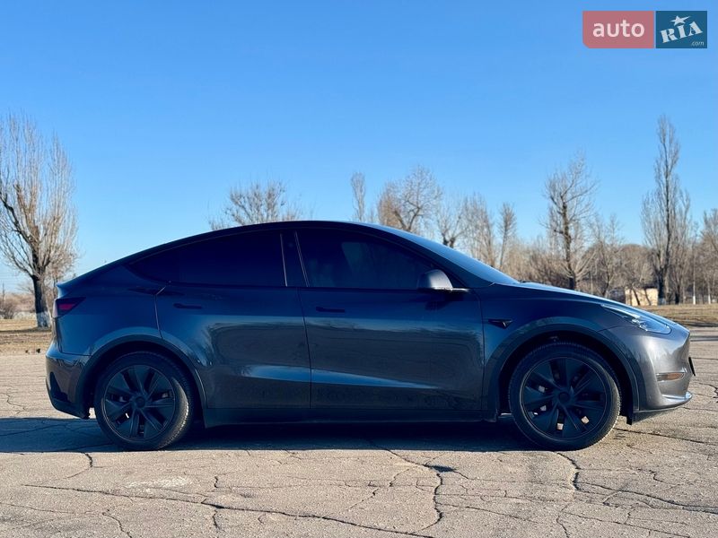 Внедорожник / Кроссовер Tesla Model Y 2024 в Каменском