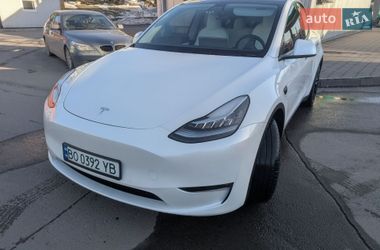 Внедорожник / Кроссовер Tesla Model Y 2021 в Тернополе