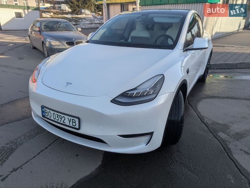 Внедорожник / Кроссовер Tesla Model Y 2021 в Тернополе