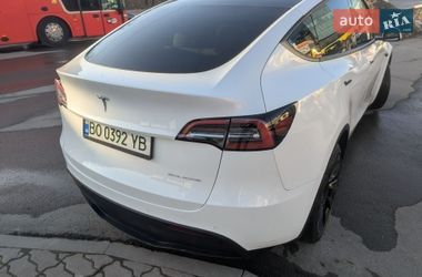 Внедорожник / Кроссовер Tesla Model Y 2021 в Тернополе