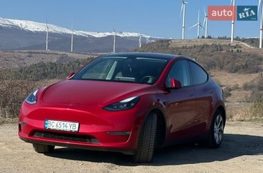 Позашляховик / Кросовер Tesla Model Y 2020 в Жовкві