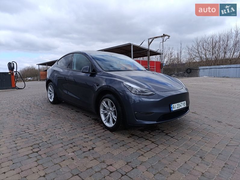 Внедорожник / Кроссовер Tesla Model Y 2023 в Борисполе