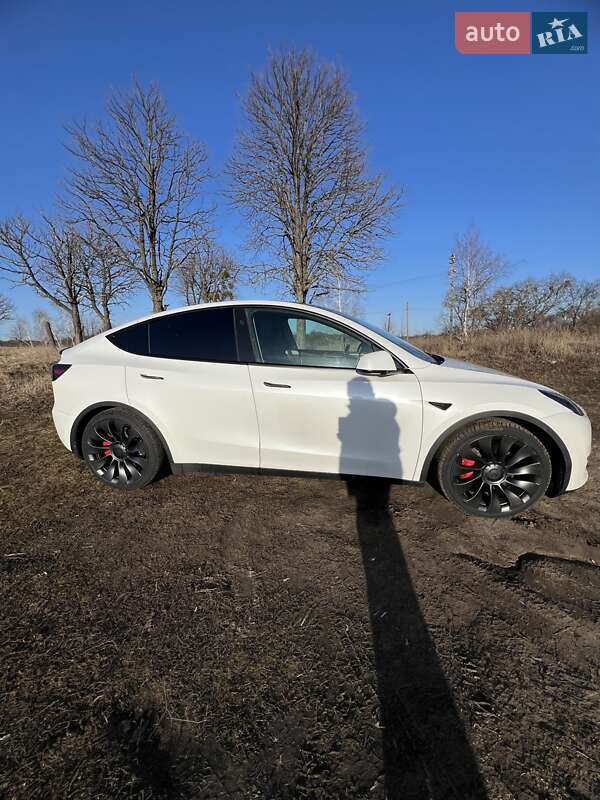 Позашляховик / Кросовер Tesla Model Y 2024 в Полтаві