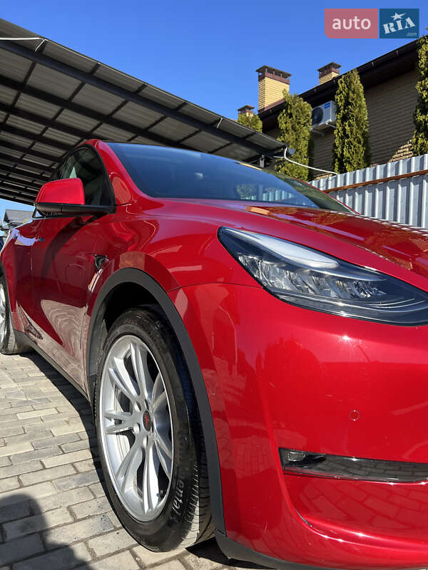 Внедорожник / Кроссовер Tesla Model Y 2021 в Полтаве