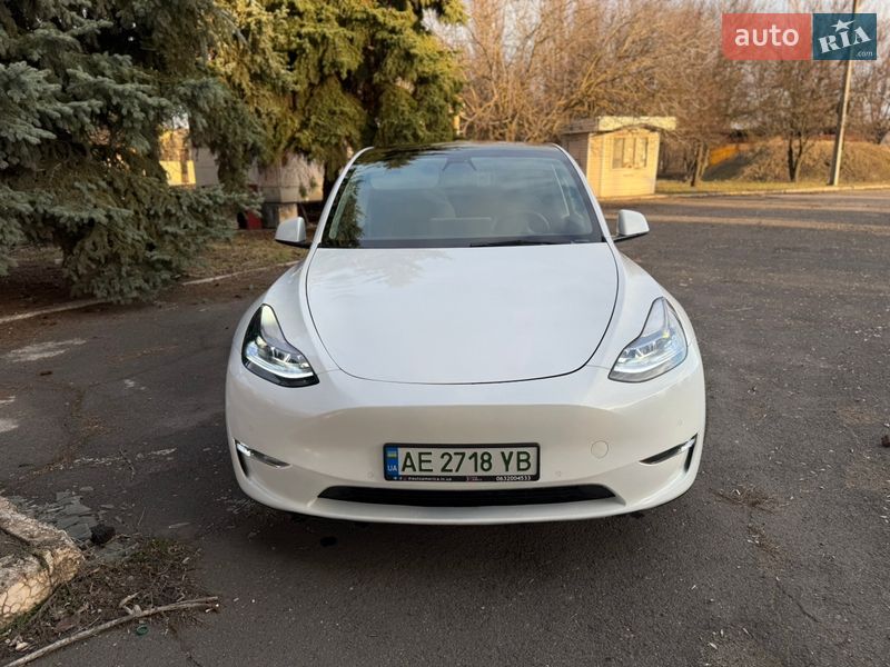 Позашляховик / Кросовер Tesla Model Y 2021 в Кривому Розі