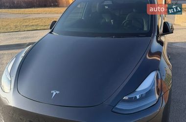 Внедорожник / Кроссовер Tesla Model Y 2024 в Буче