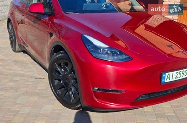 Внедорожник / Кроссовер Tesla Model Y 2024 в Фастове
