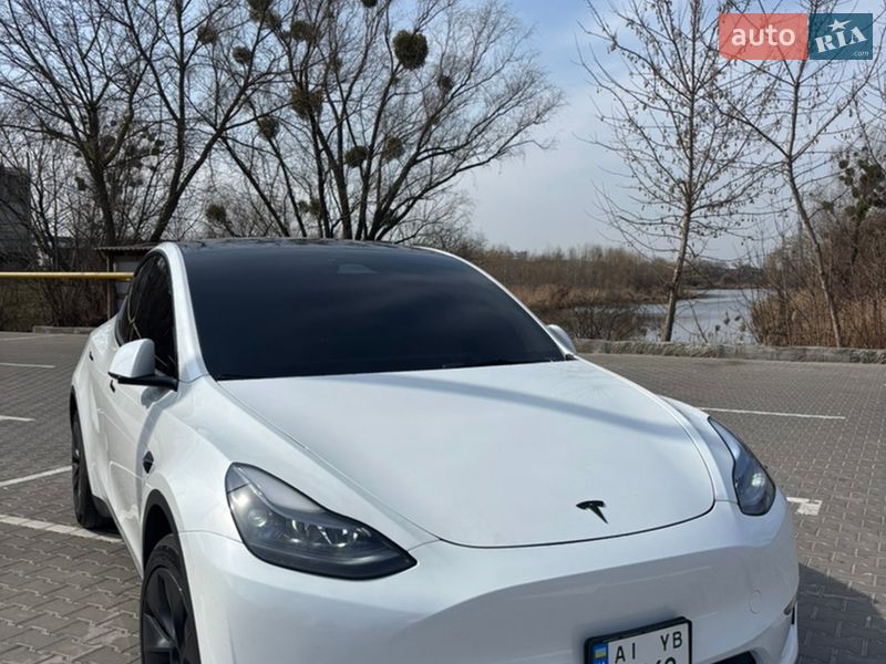 2025 Tesla Model Y, VIN 7SAYGDEDXSA376131:plate — zdjęcie 1 (autoria)