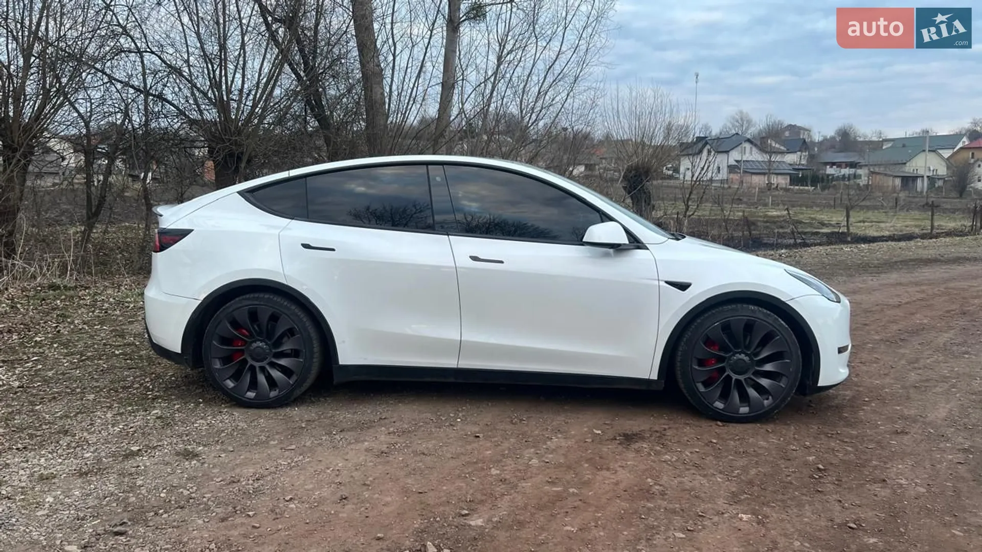 2020 Tesla Model Y - мініатюра 4