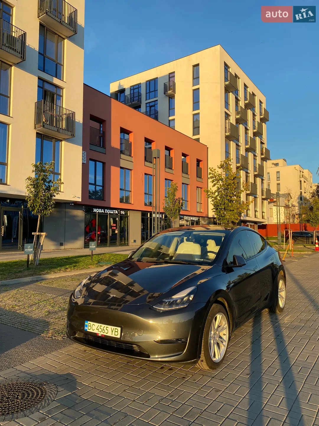 2021 Tesla Model Y - фото 1
