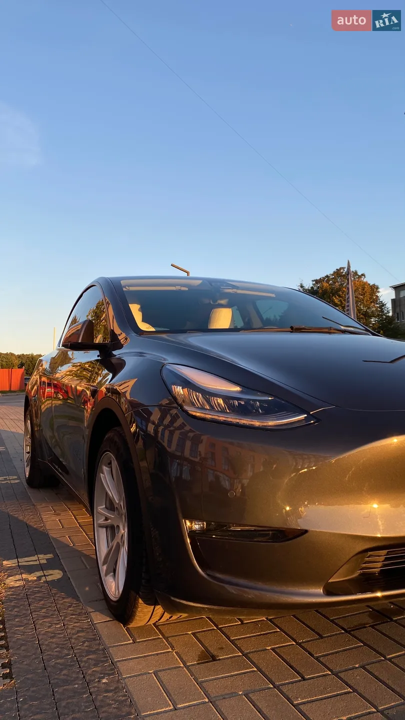 2021 Tesla Model Y - мініатюра 9