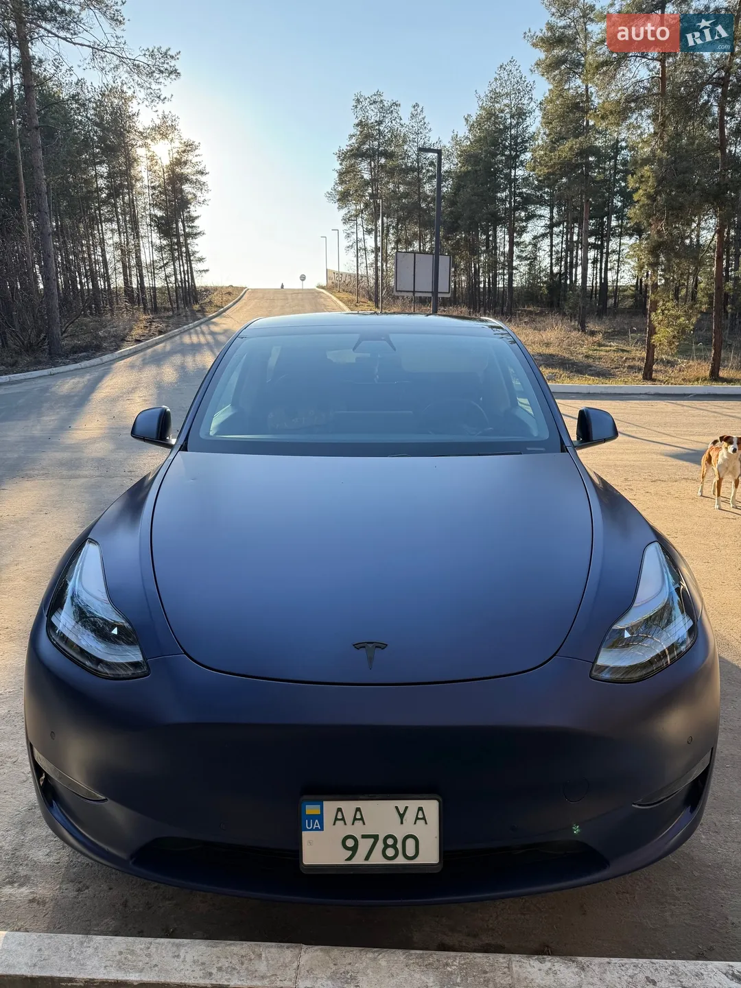 2020 Tesla Model Y - мініатюра 64