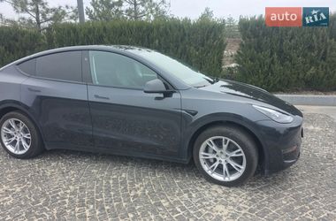Позашляховик / Кросовер Tesla Model Y 2024 в Дніпрі