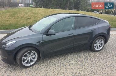 Позашляховик / Кросовер Tesla Model Y 2024 в Дніпрі