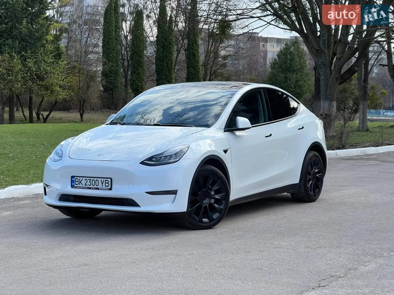 2022 Tesla Model Y - мініатюра 41