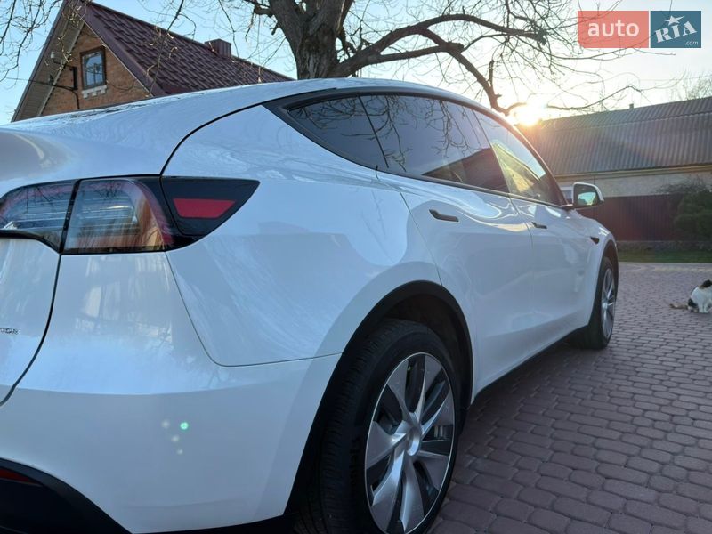 Внедорожник / Кроссовер Tesla Model Y 2023 в Калиновке фото 3 Внедорожник / Кроссовер Tesla Model Y 2023 в Калиновке