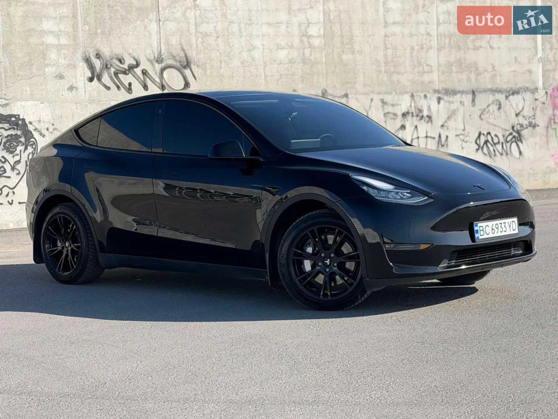 2023 Tesla Model Y - фото 1