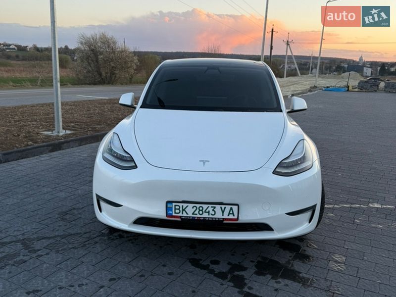 Позашляховик / Кросовер Tesla Model Y 2020 в Львові