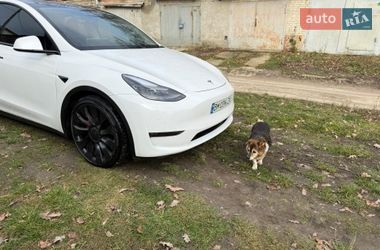 Внедорожник / Кроссовер Tesla Model Y 2022 в Сумах