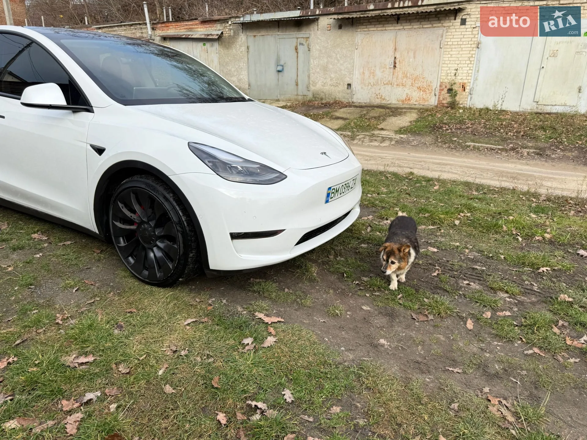 2022 Tesla Model Y - мініатюра 2