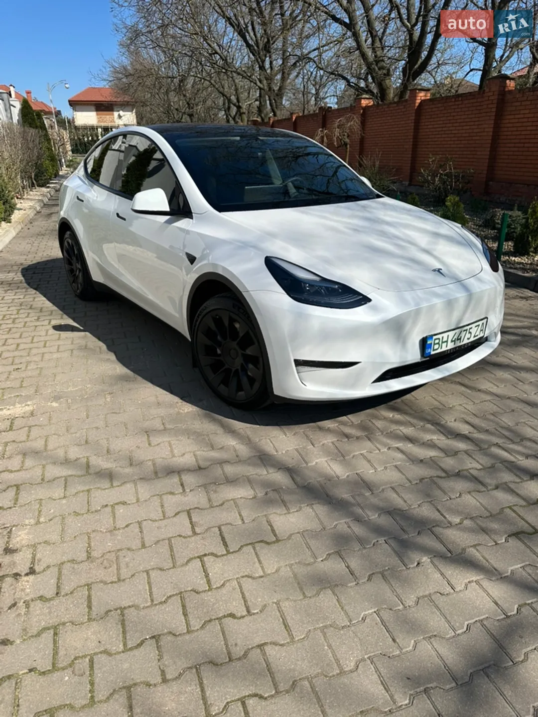 2023 Tesla Model Y - мініатюра 2