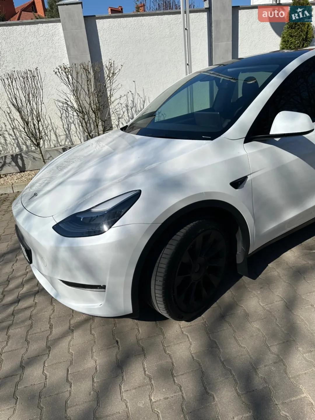 2023 Tesla Model Y - мініатюра 3