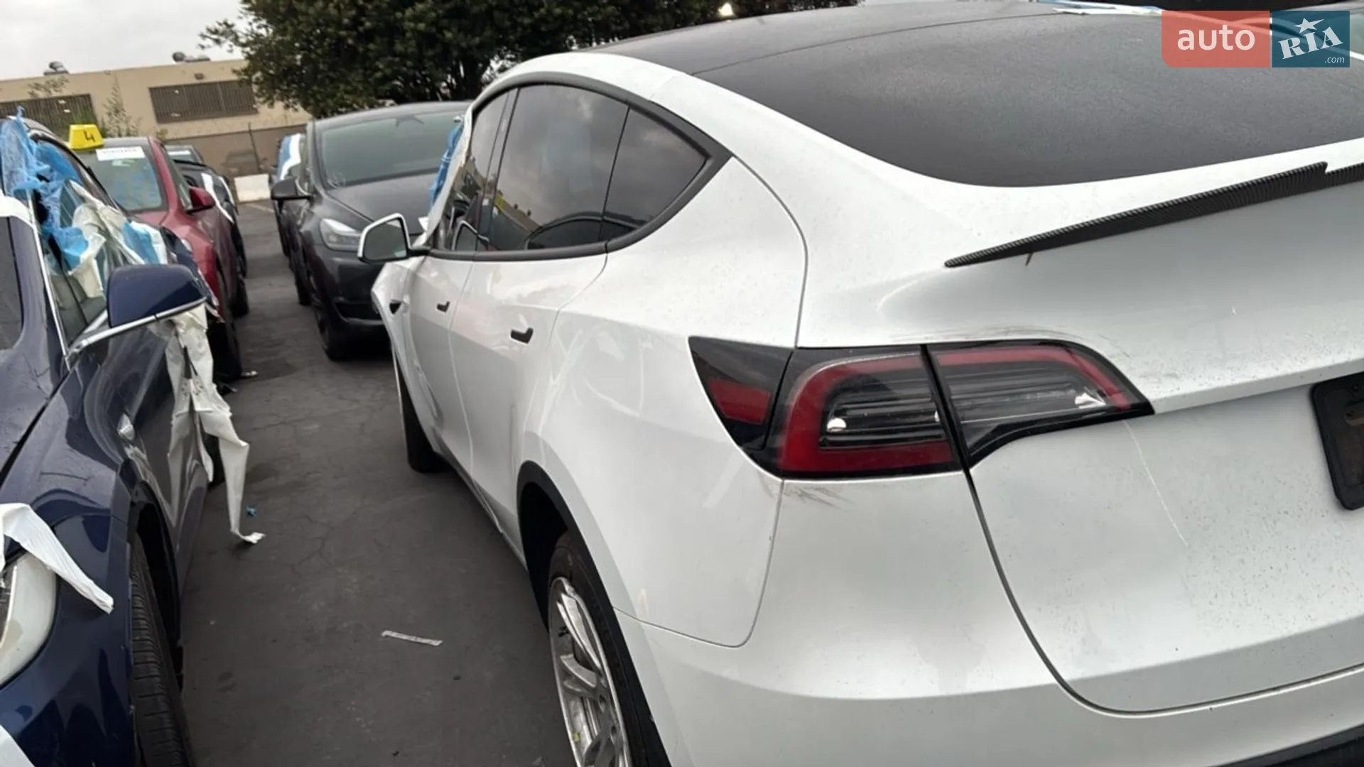 2023 Tesla Model Y - фото 1