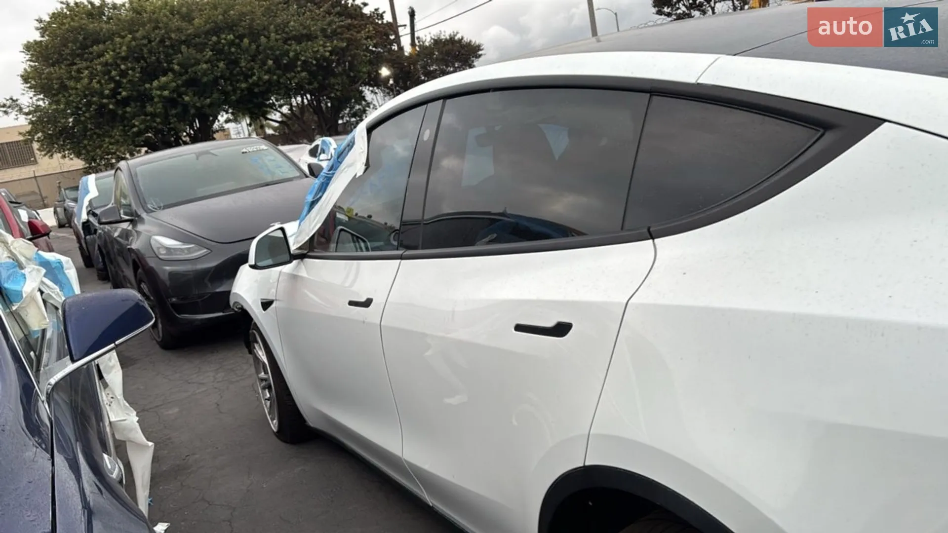 2023 Tesla Model Y - мініатюра 6