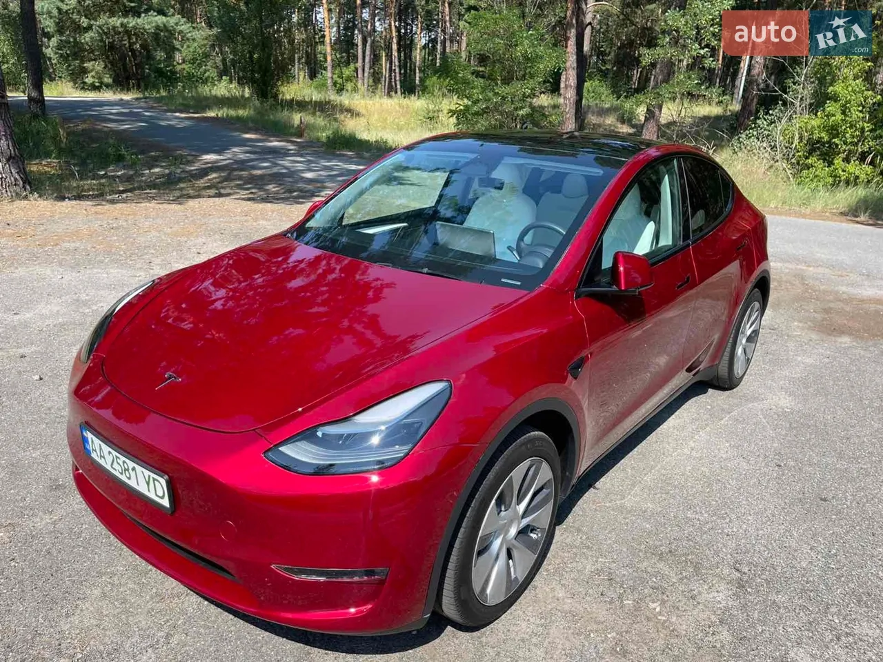 2023 Tesla Model Y - мініатюра 19