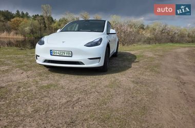 Позашляховик / Кросовер Tesla Model Y 2024 в Дніпрі