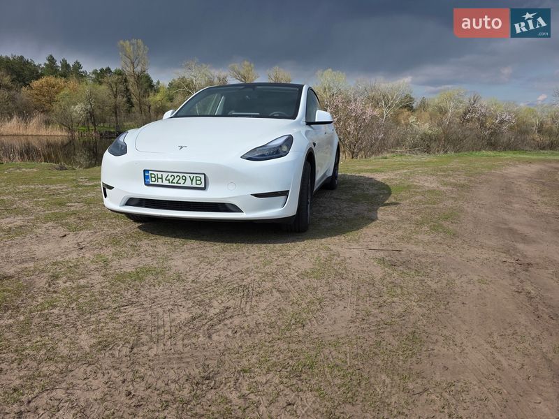 Позашляховик / Кросовер Tesla Model Y 2024 в Дніпрі фото Позашляховик / Кросовер Tesla Model Y 2024 в Дніпрі