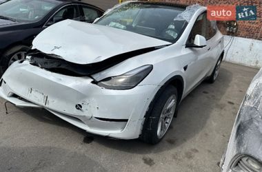 Внедорожник / Кроссовер Tesla Model Y 2023 в Киеве