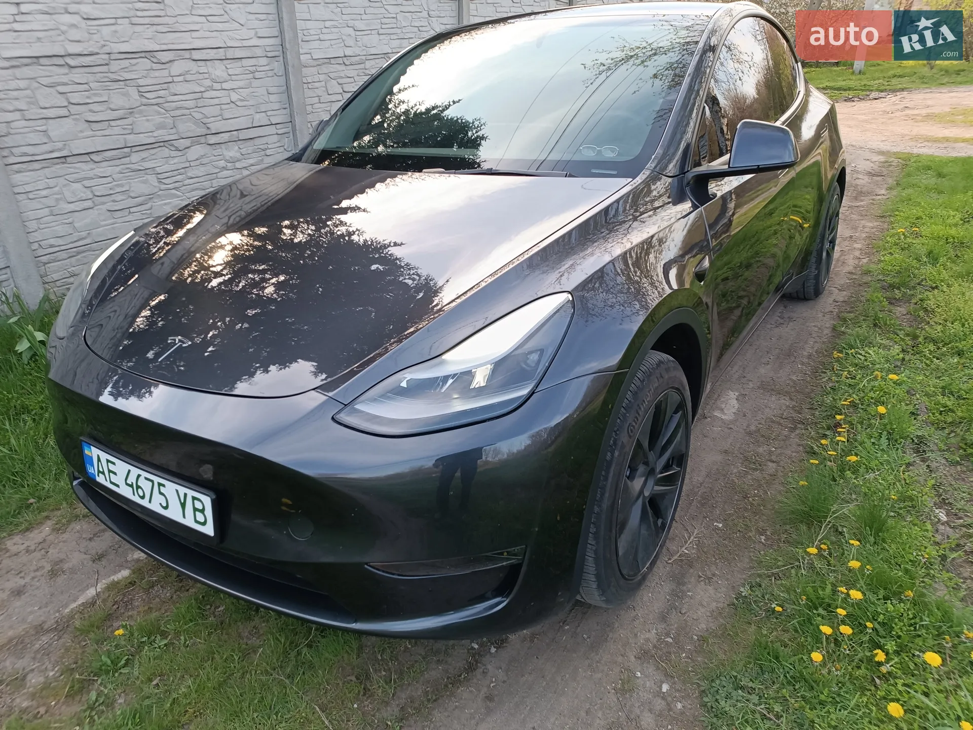 2025 Tesla Model Y - мініатюра 2