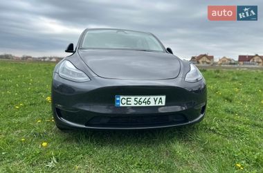 Позашляховик / Кросовер Tesla Model Y 2024 в Сторожинці
