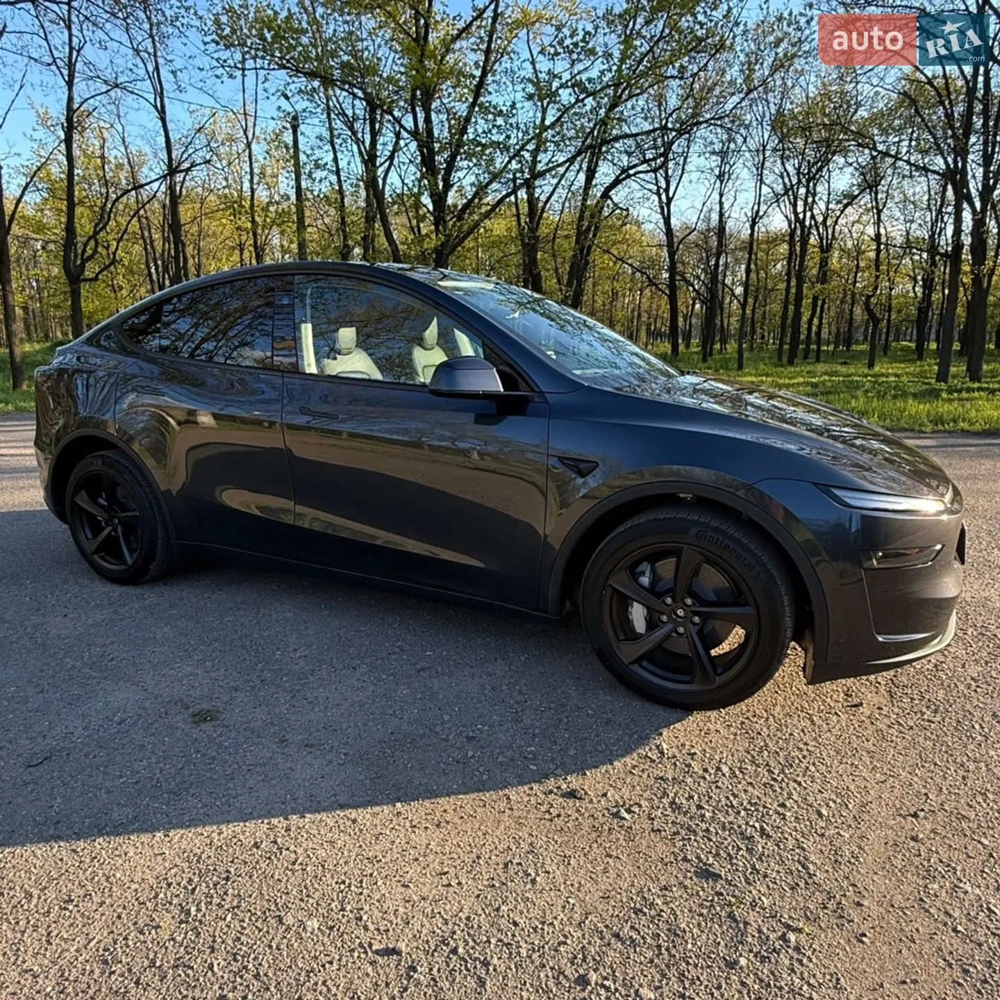 2025 Tesla Model Y - мініатюра 4