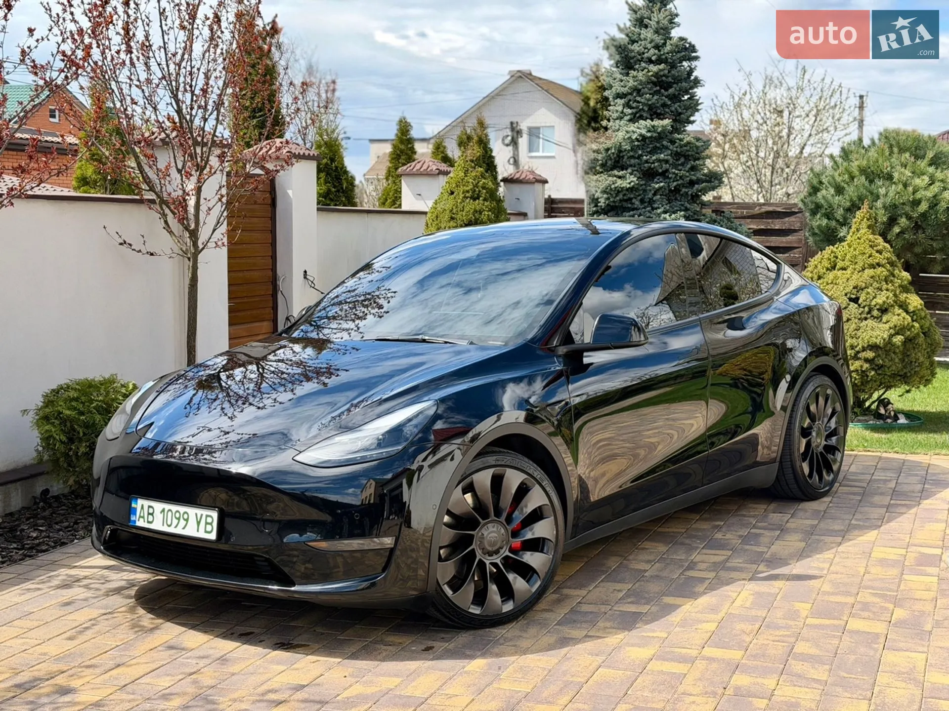 2022 Tesla Model Y - фото 1