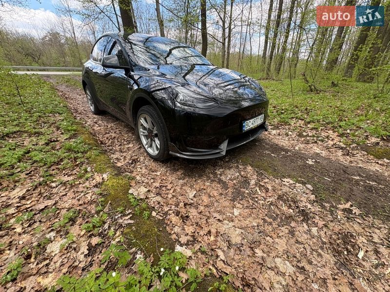 Внедорожник / Кроссовер Tesla Model Y 2020 в Львове