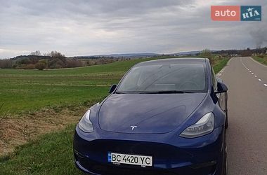 Позашляховик / Кросовер Tesla Model Y 2024 в Львові