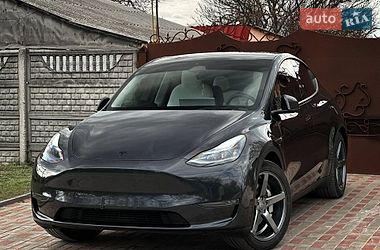 Внедорожник / Кроссовер Tesla Model Y 2024 в Днепре