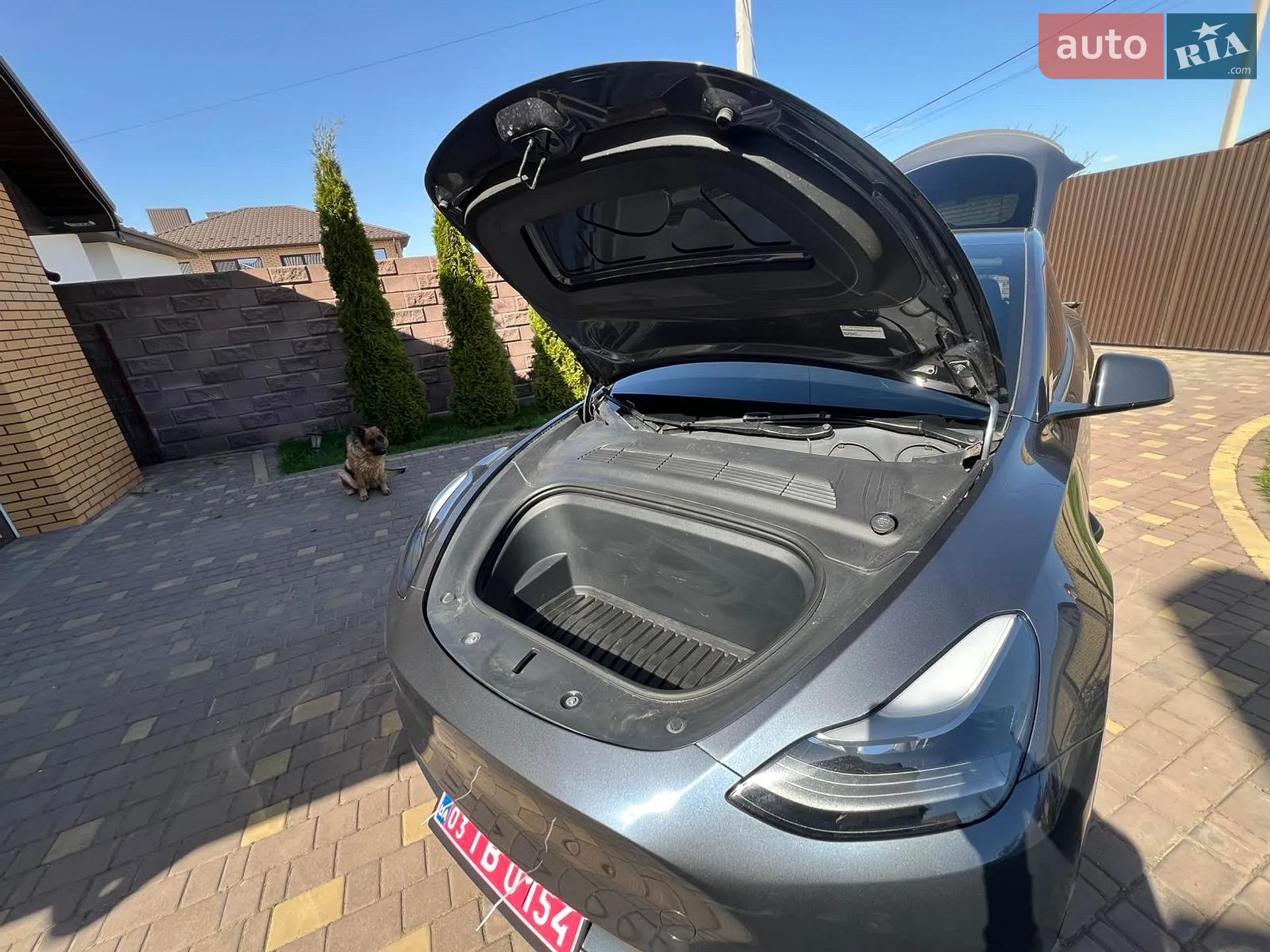 2023 Tesla Model Y - мініатюра 4