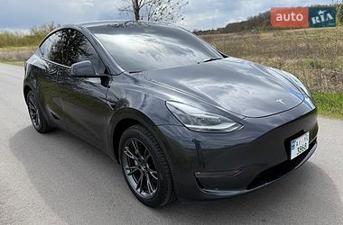 Позашляховик / Кросовер Tesla Model Y 2024 в Білій Церкві