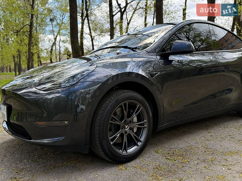 Позашляховик / Кросовер Tesla Model Y 2024 в Білій Церкві