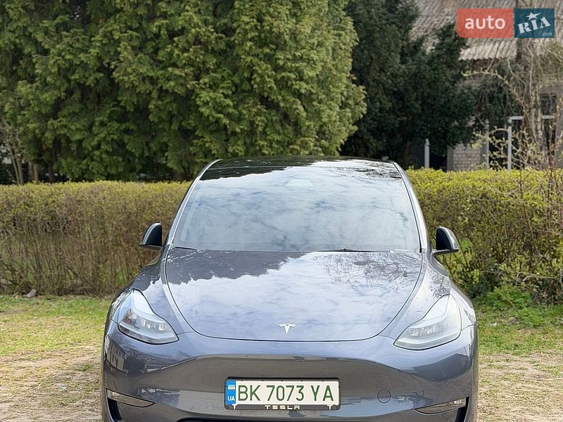 Внедорожник / Кроссовер Tesla Model Y 2023 в Березному