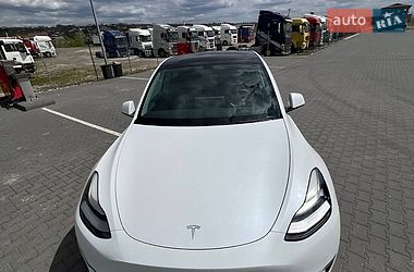Внедорожник / Кроссовер Tesla Model Y 2021 в Черновцах