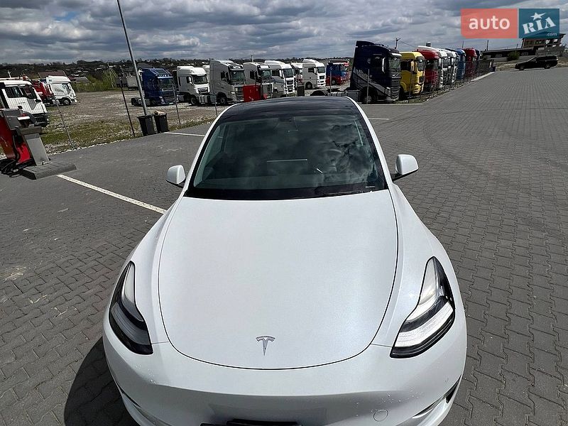 Внедорожник / Кроссовер Tesla Model Y 2021 в Черновцах