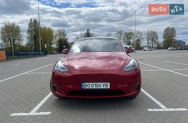 Внедорожник / Кроссовер Tesla Model Y 2023 в Тернополе